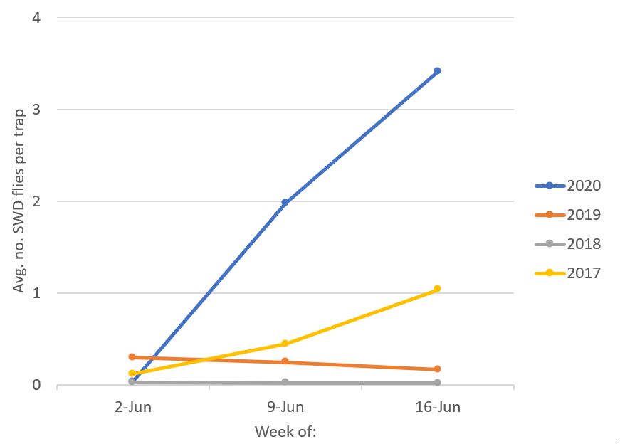 Current SWD population levels